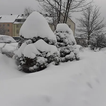 Zern * יוהנגאורגנשטאט