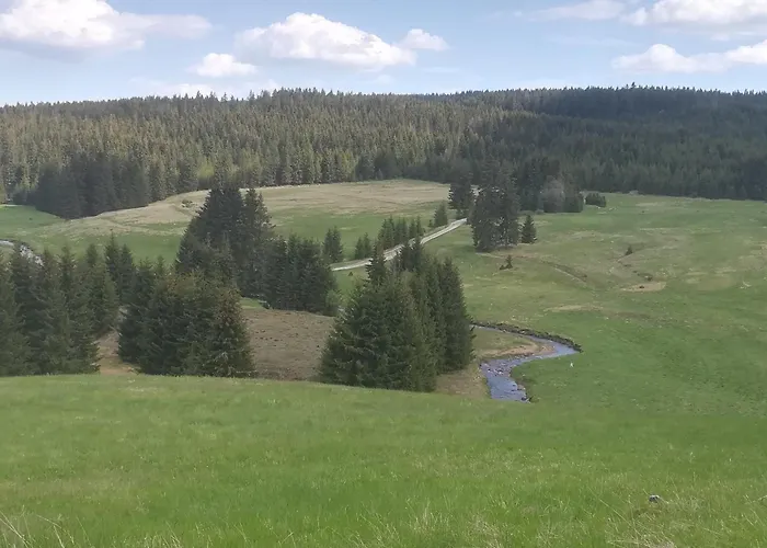 公寓 Zern 约翰乔治城