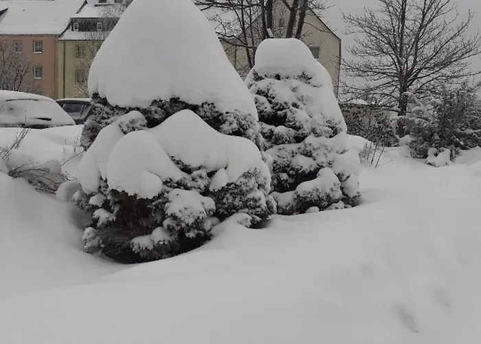 Zern * 约翰乔治城